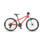 Beany Zero 20" lasteratas, punane